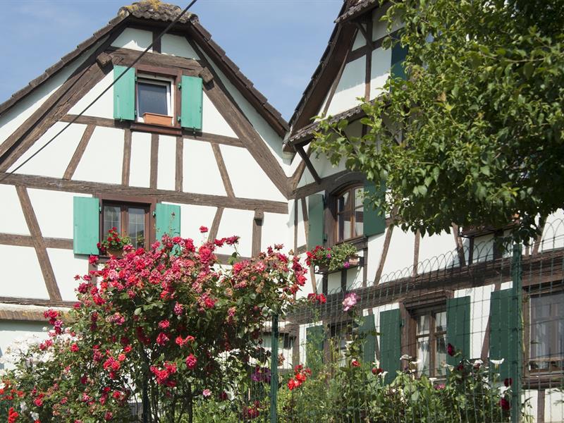 Parcours des fermes à Griesheim-sur-Souffel